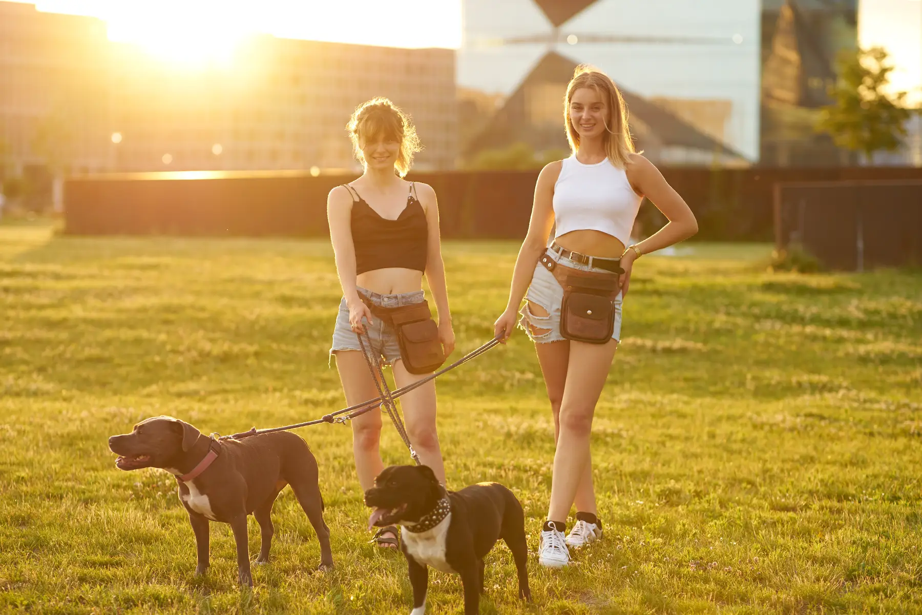Claude responded: Zwei junge Frauen stehen bei goldenem Abendlicht auf einer Wiese in Berlin und halten je einen Hund an der Leine.Zwei junge Frauen stehen bei goldenem Abendlicht auf einer Wiese in Berlin und halten je einen Hund an der Leine. Die eine trägt ein schwarzes Crop-Top, die andere ein weißes – beide kombiniert mit Jeansshorts und braunen Hüfttaschen aus Leder. Im Hintergrund sind Stadtgebäude zu erkennen.